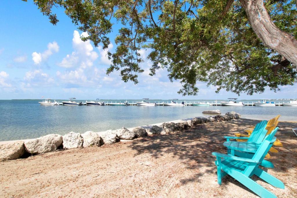 Rock Harbor P8 photo 1