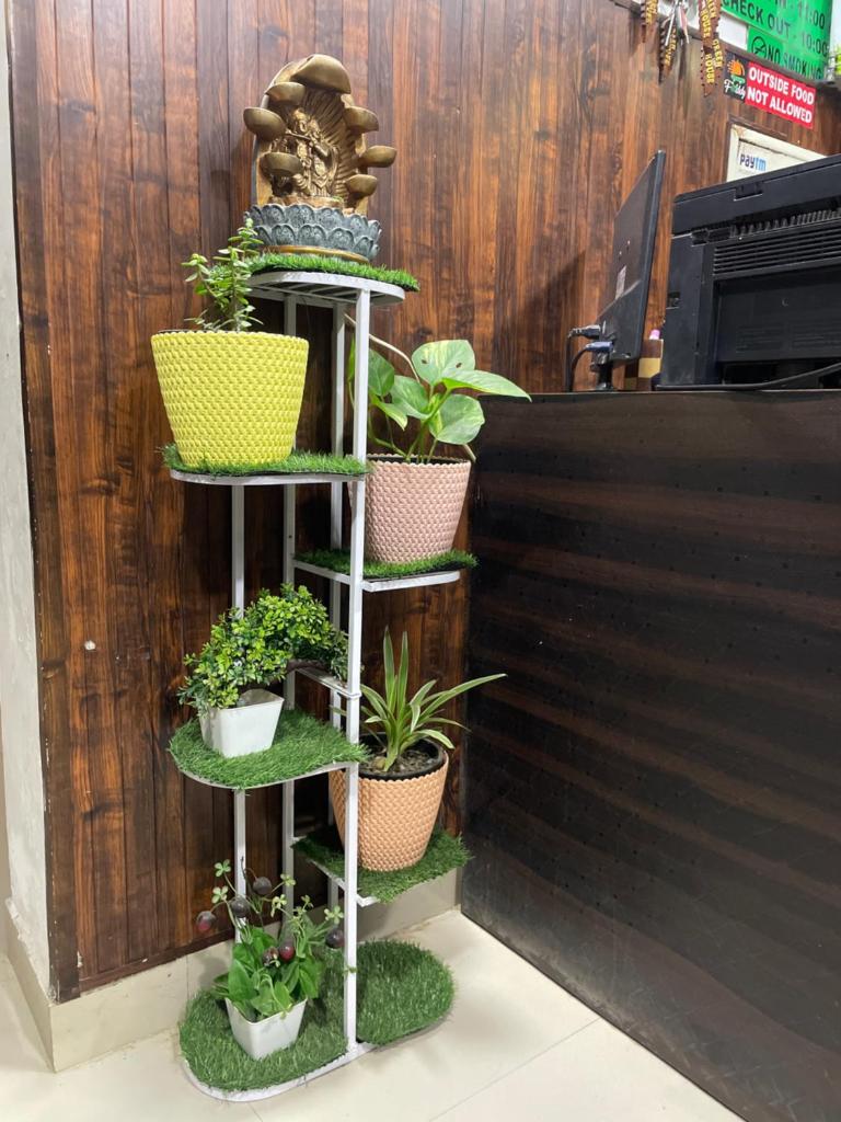 The Green house photo 4
