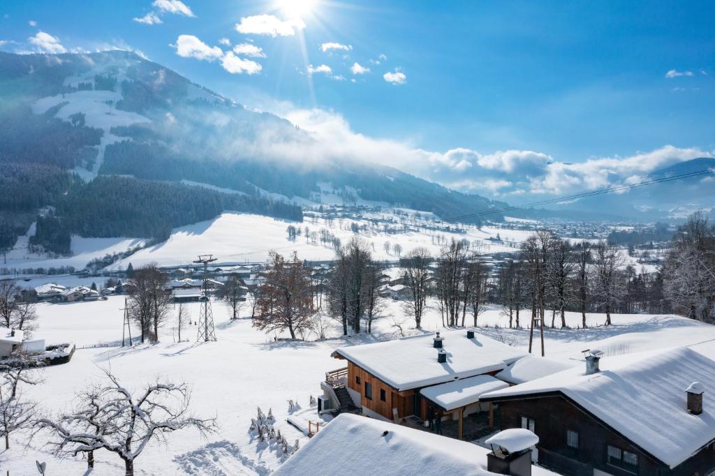 Alpenchalet zurHinterochsenweide SKI IN & SKI OUT photo 3