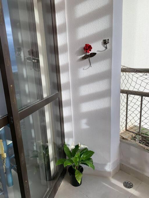 Apartamento em Caraguatatuba photo 1