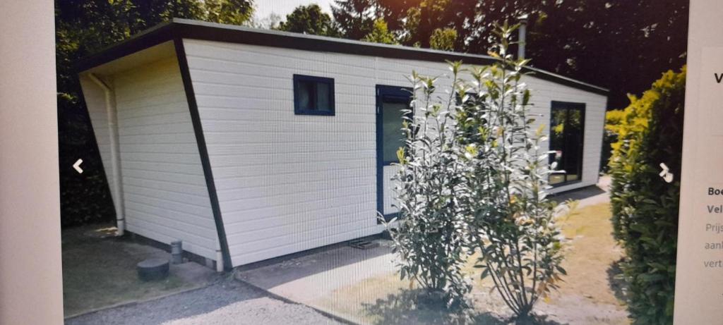 Chalet Veluwe G10 Veldkamp 4 Personen photo 3