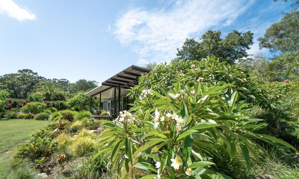 Lily Pad at Byron Bay photo 1