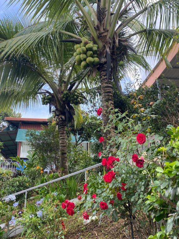 Villa Garita Inn photo 2