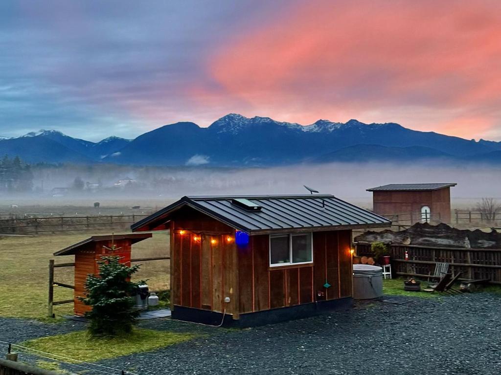 Blue Moon Tiny House, Sauna,ht image