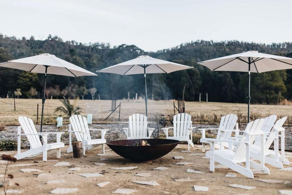 Saddle Ridge, Kangaroo Valley photo 4