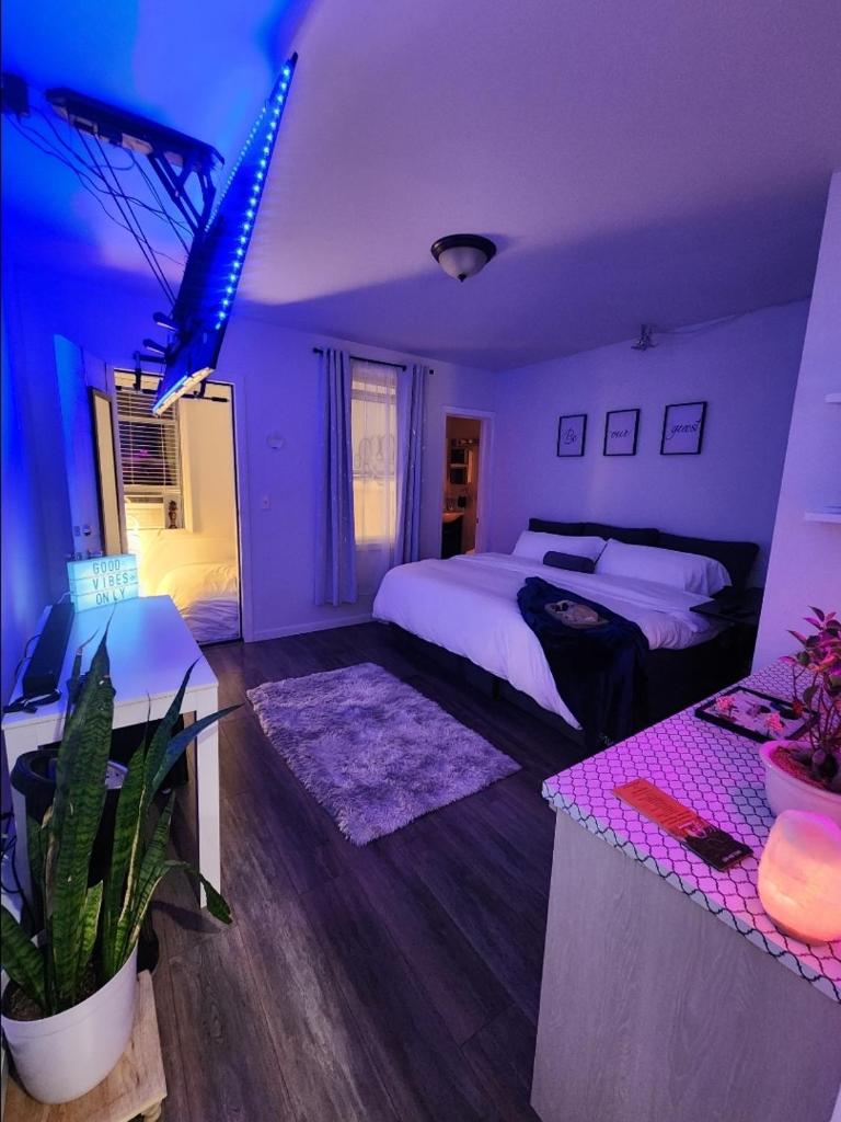 Zen Oasis Room image