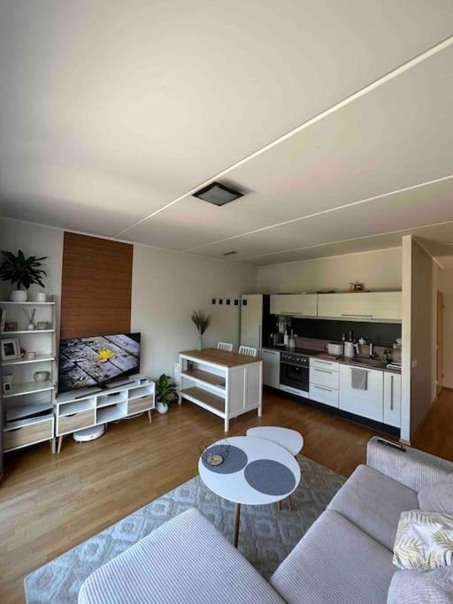 1-bedroom apartment near airport photo 4