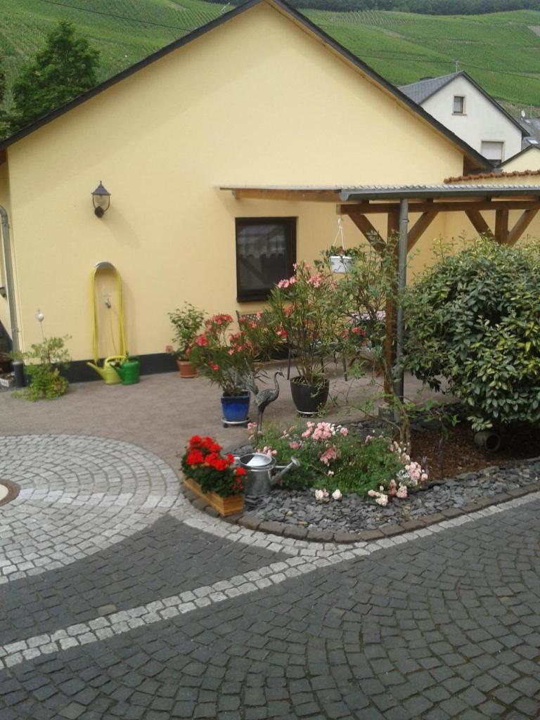 Ferienhaus Willwert photo 1