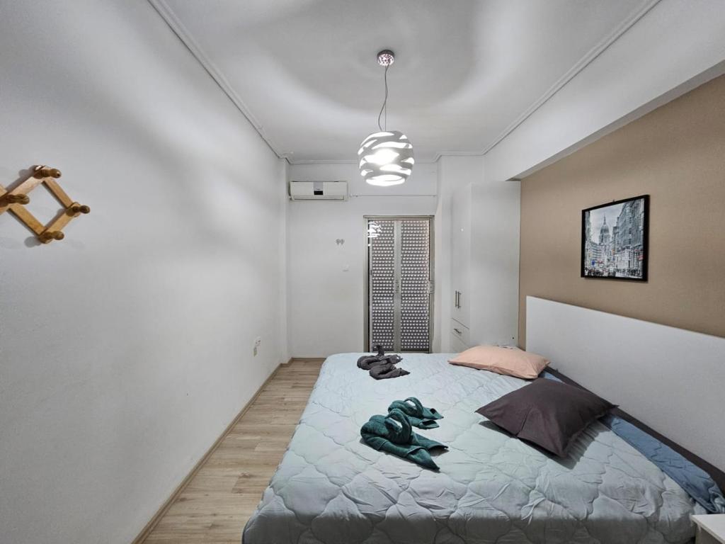 Spacious & Comfortable Modern House photo 2