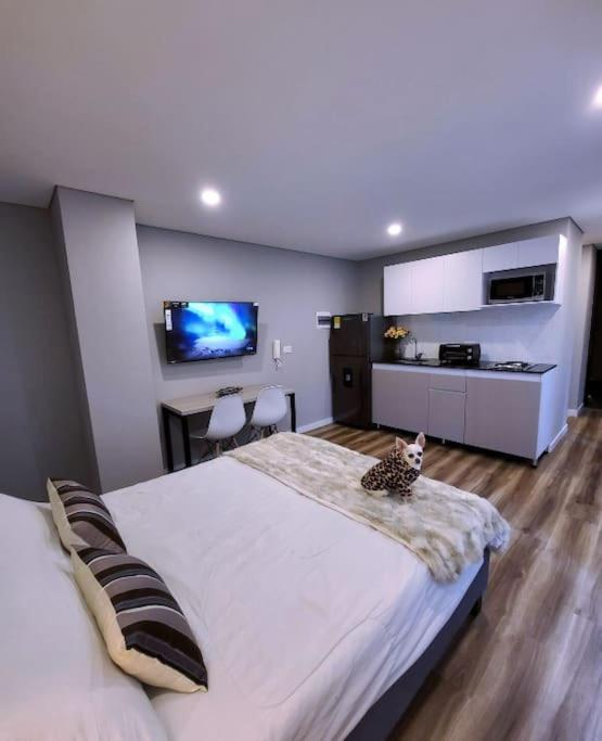 Céntrico Loft Turístico-Negocios photo 1