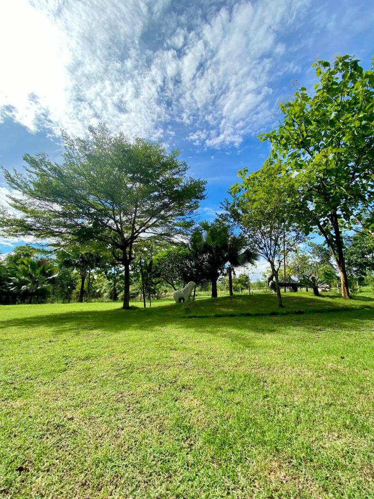 วรินธรน์รีสอร์ท photo 3