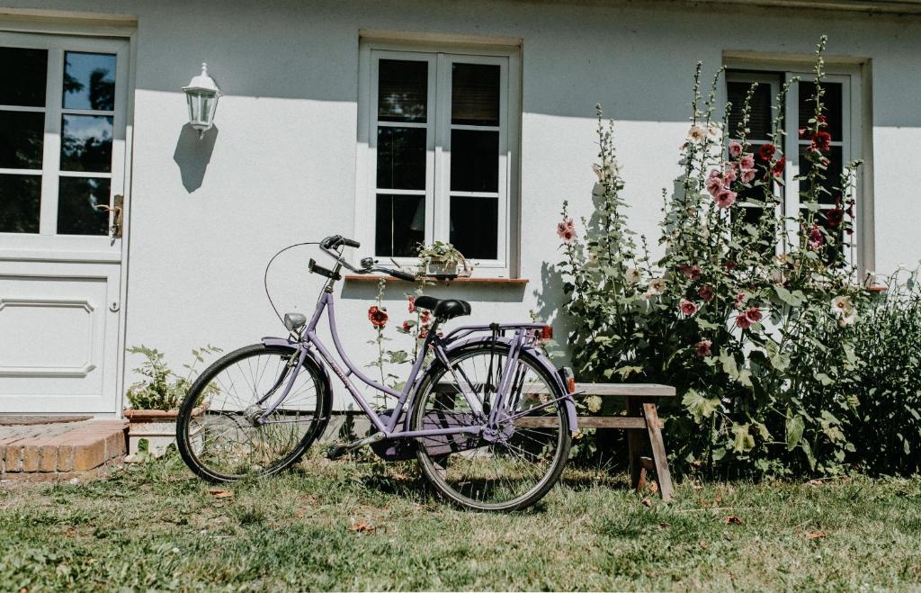 Gutshaus Krimvitz Ferienwohnung auf Rügen photo 1