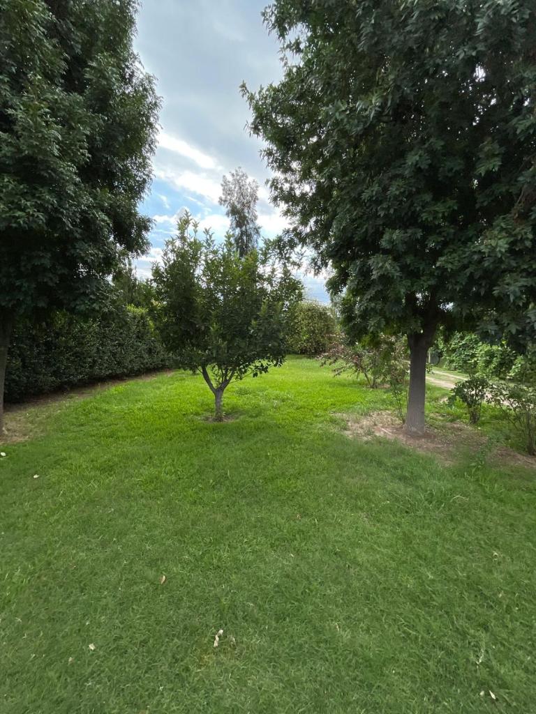 Casa Frank photo 4