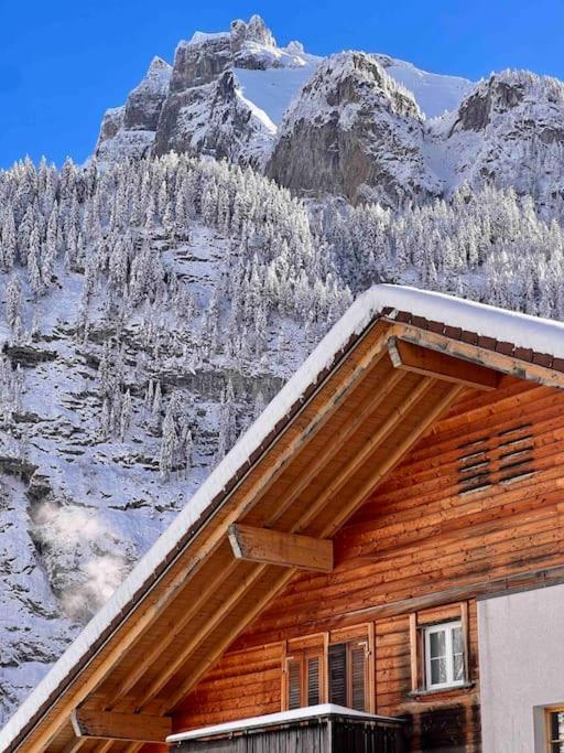Alpine Chalet photo 1