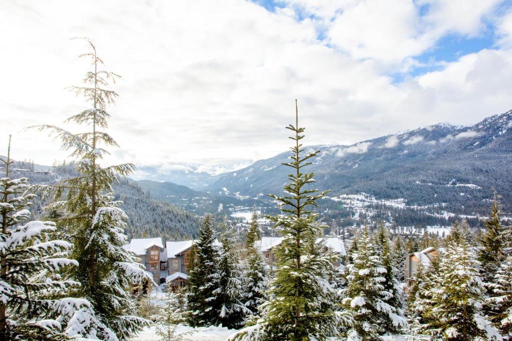 Taluswood The Heights 13 - 4 Bed Townhouse with Private Hot Tub - Whistler Platinum photo 4