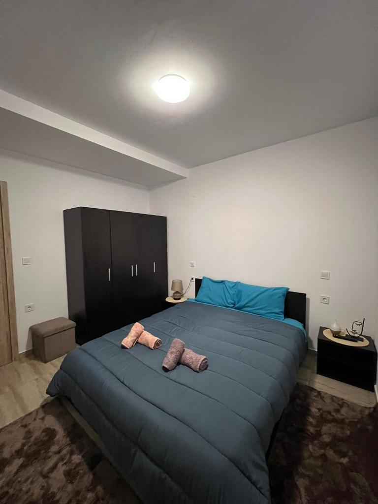 Bakopoulos Resort Ένα όμορφο και ήσυχο διαμέρισμα στα Τρίκαλα photo 4