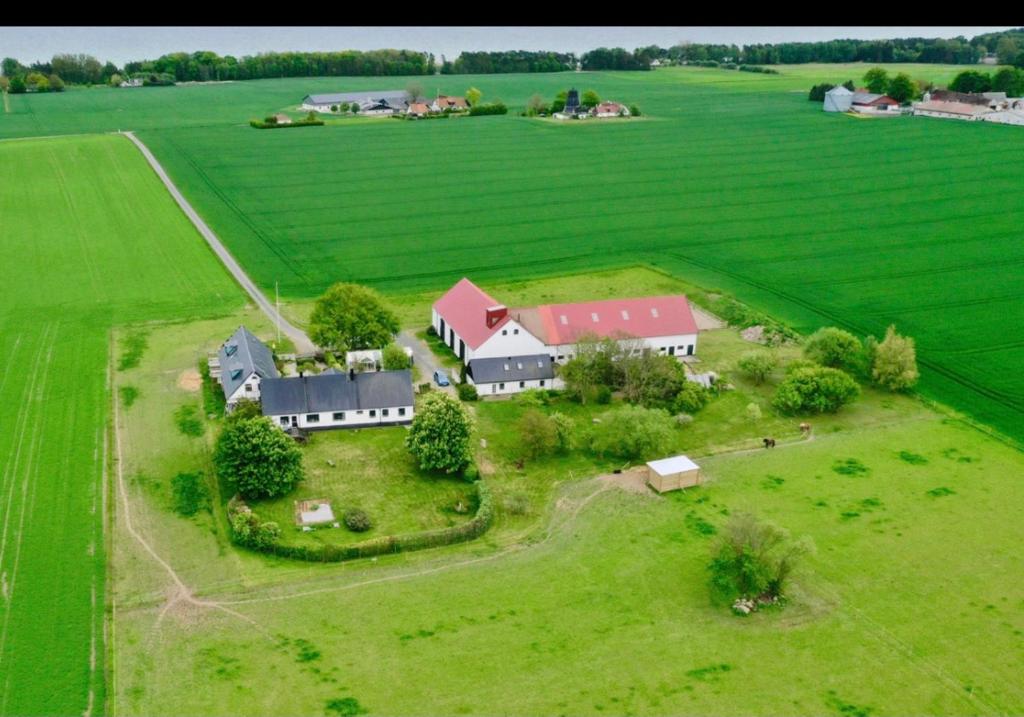 Arnhög Farm photo 2