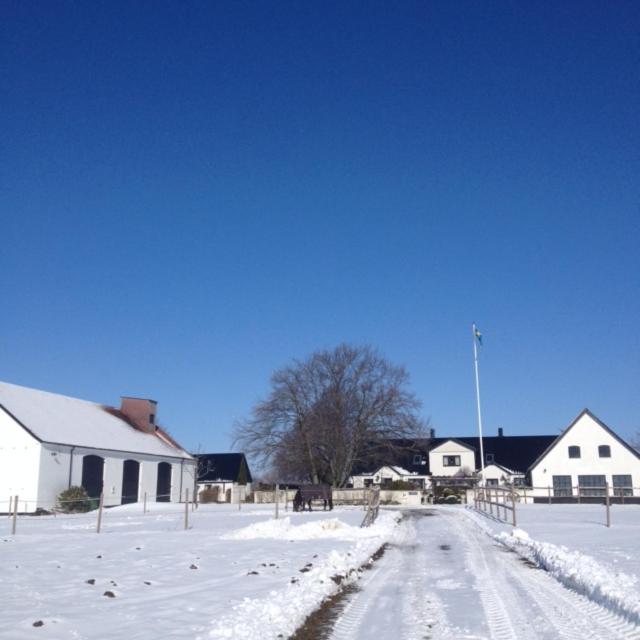 Arnhög Farm photo 4