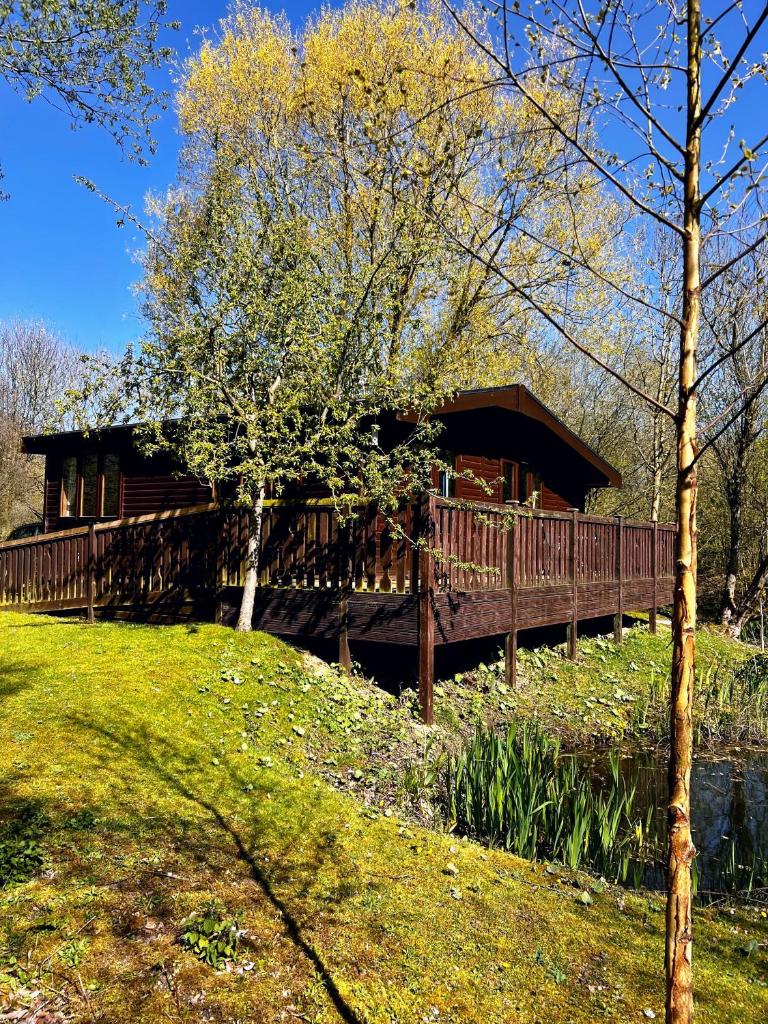 Secluded Rustic Cabin - A Digital Detox Paradise.