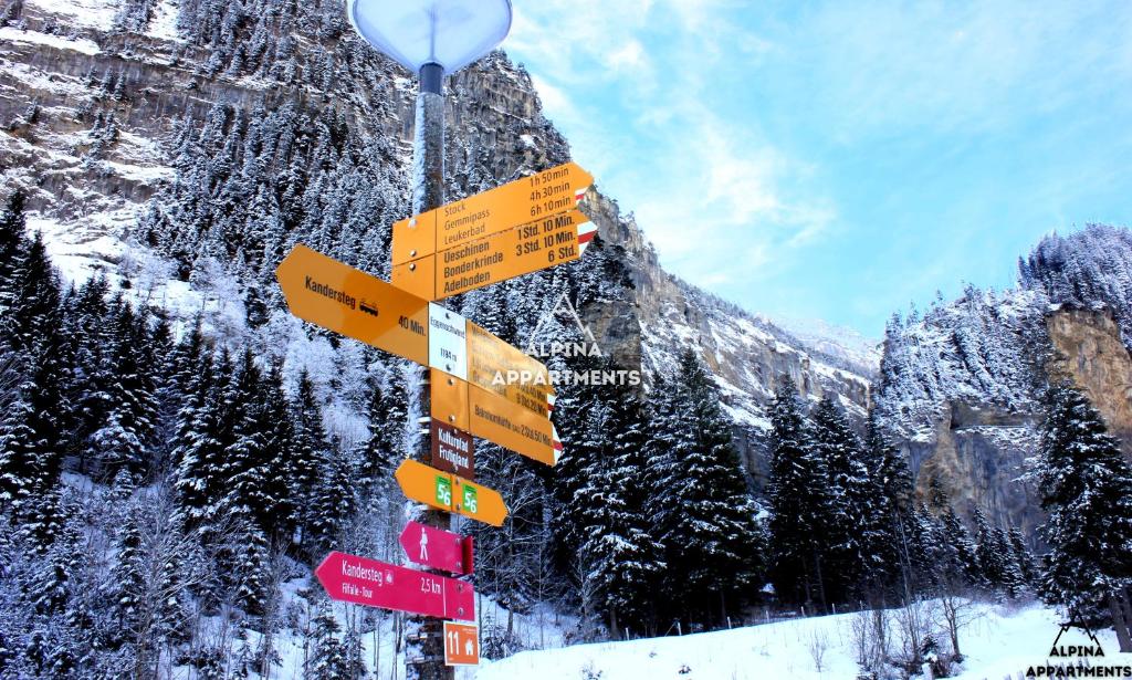 Alpina Appartment Kandersteg photo 1