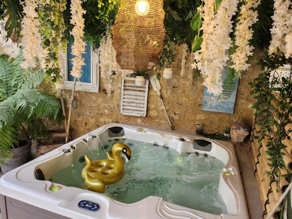 Le Cocon Lumineux Spa & Sauna à 30mn de Paris photo 3