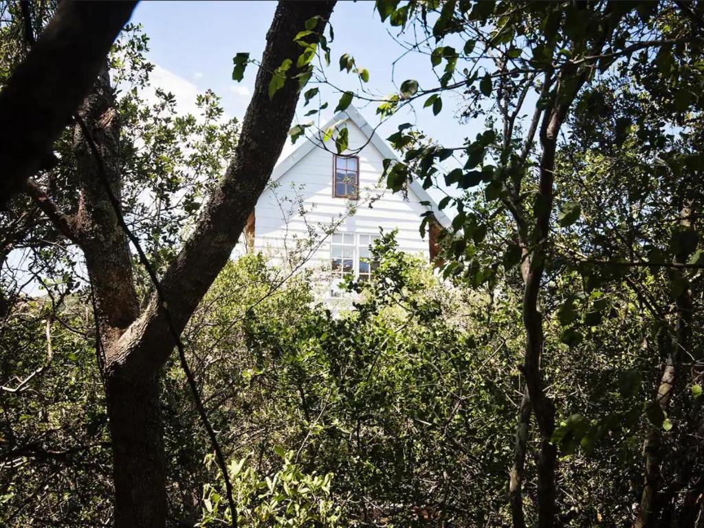 Chelsea Manor photo 2