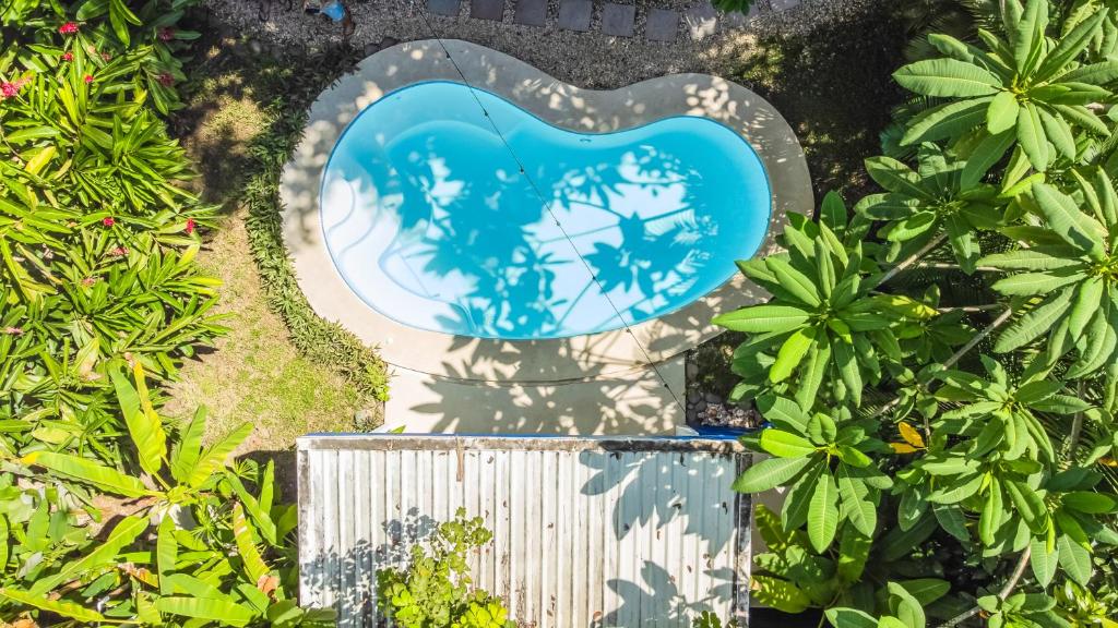 Calma Apartments Costa Rica photo 3