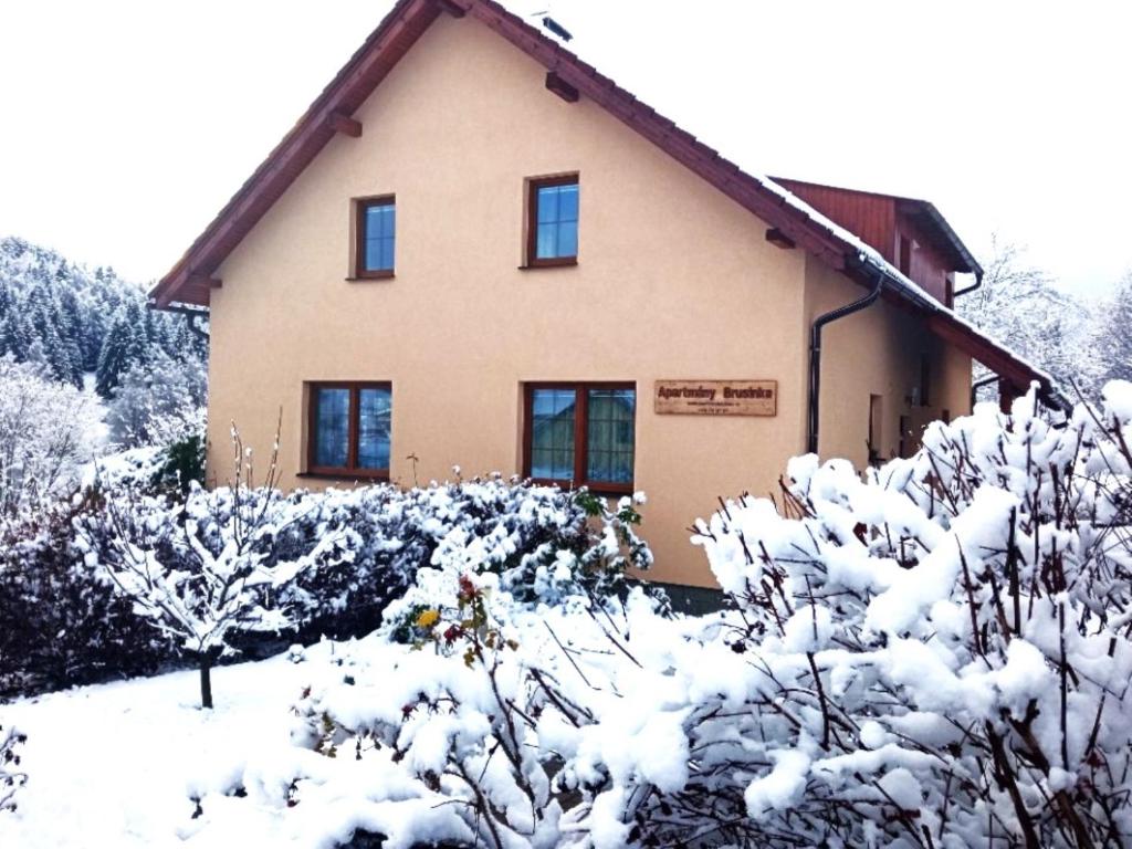 Apartment Brusinka photo 2