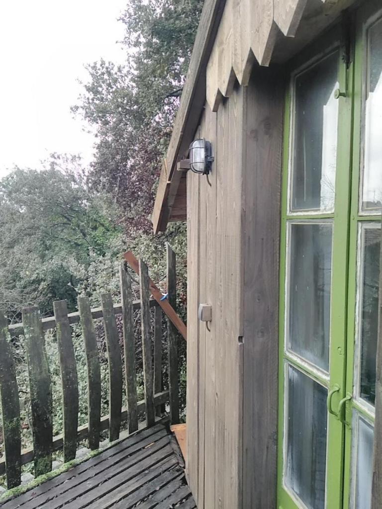 Cabane perchée de Lys dans les chênes verts et le micocoulier photo 2