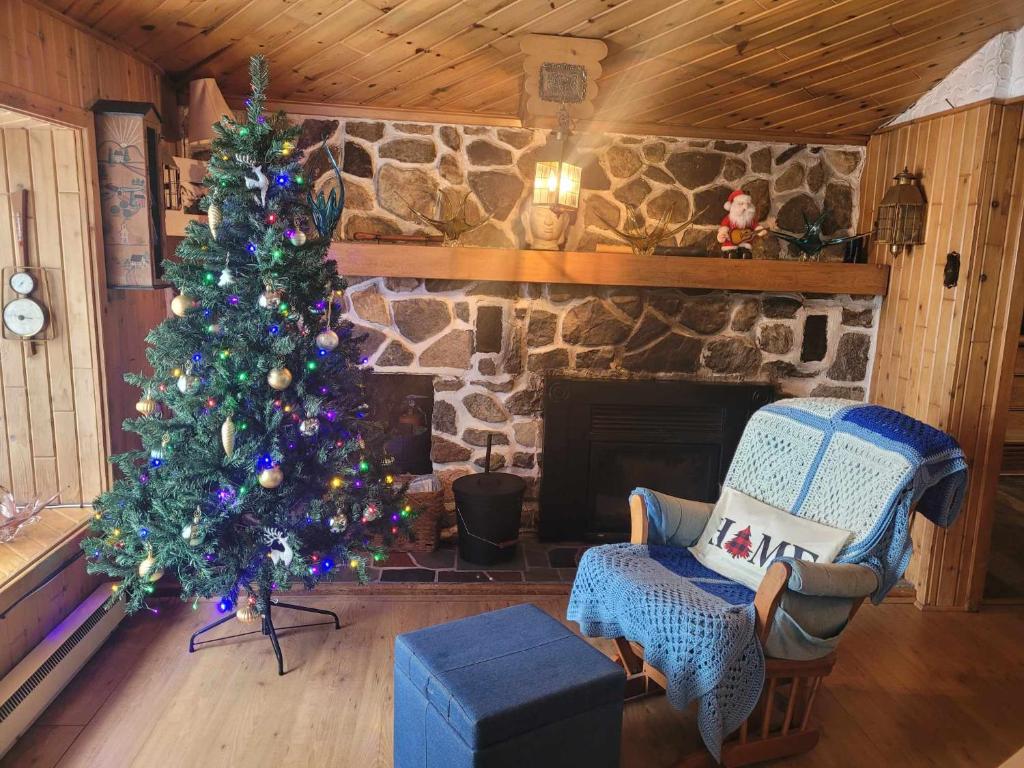 Chalet "Ici et maintenant, sur le lac" photo 1