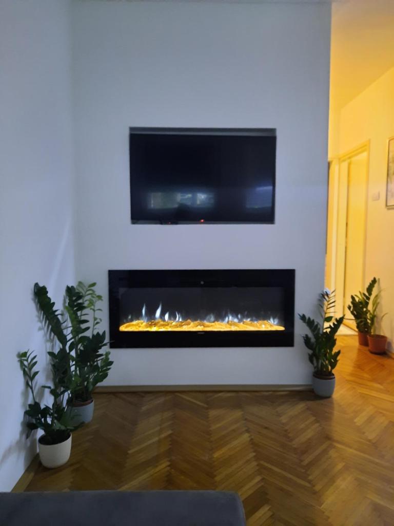 Lion suite photo 2