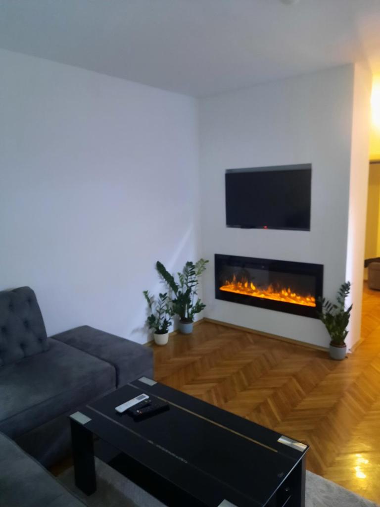 Lion suite photo 1