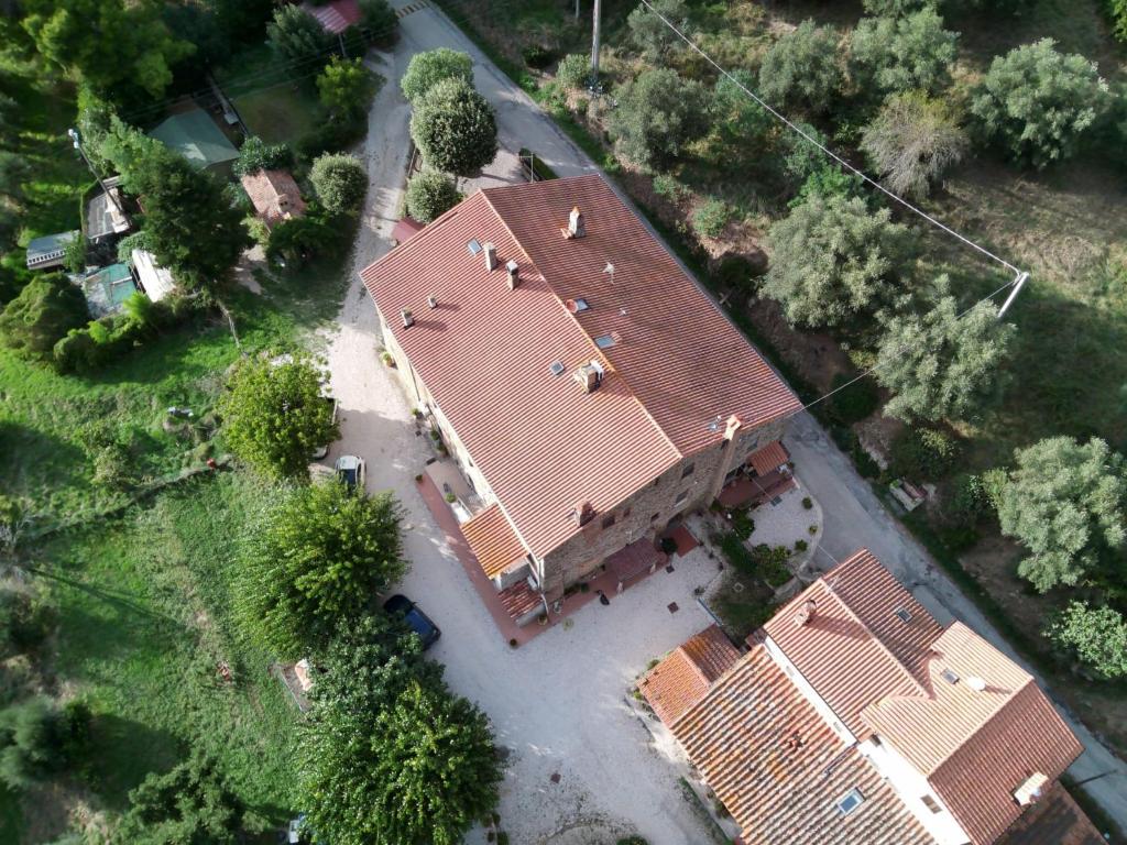 Tra lago e collina photo 3