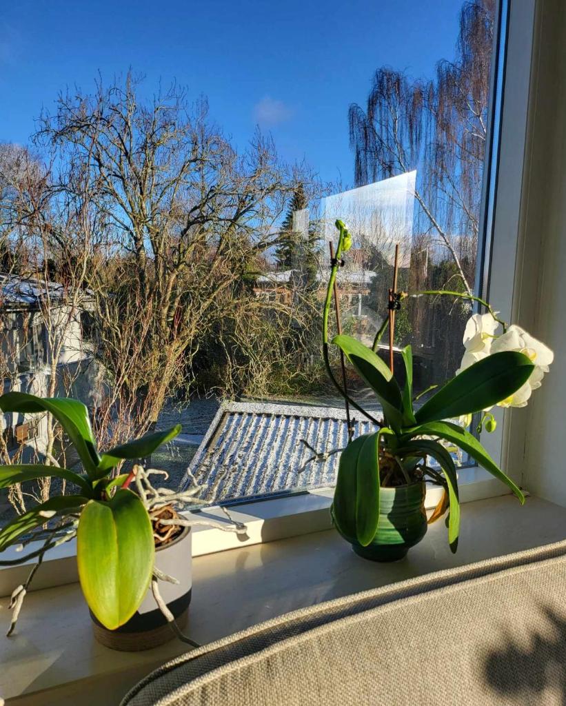 Moderne villalejlighed på 110 kvm + stor terrasse photo 1