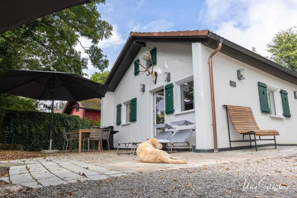 Freistehendes Ferienhaus Schrat mit Kamin in idyllischer Lage am Waldrand unterhalb eines Wellness-Hotels photo 3