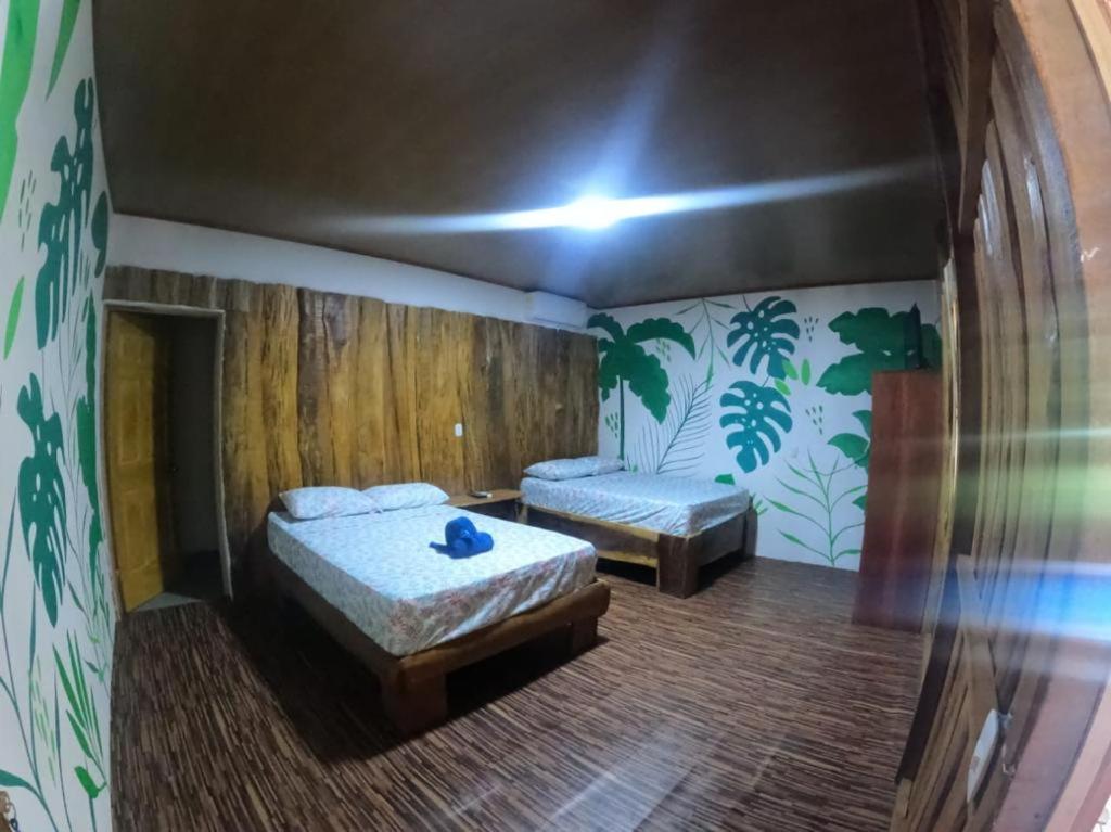 Tree House Samanea Lodge photo 3