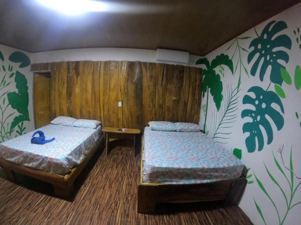 Tree House Samanea Lodge photo 4