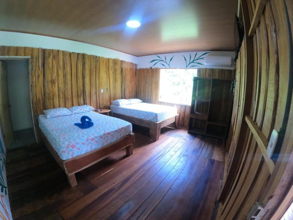Tree House Samanea Lodge photo 1