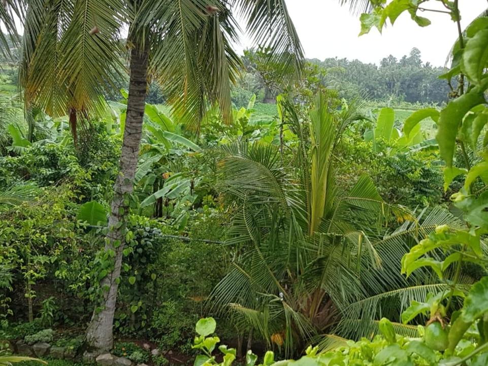 "GreenHeart" Eco Villa - Inspire the Nature & Coolness- Specious Top Floor with Balcony view' photo 2