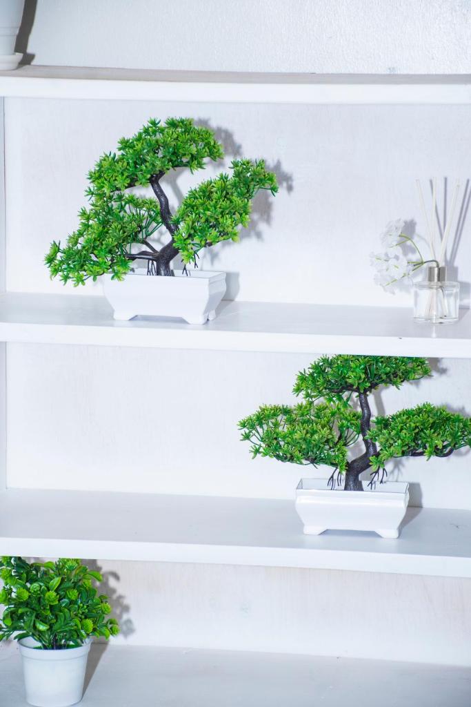 Cozy Oasis photo 4