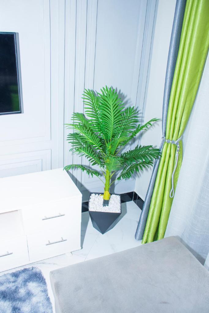 Cozy Oasis photo 2