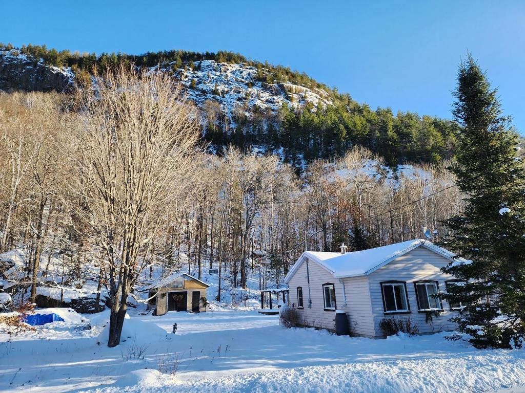 Chalet Falaise by Chalets NABU photo 1