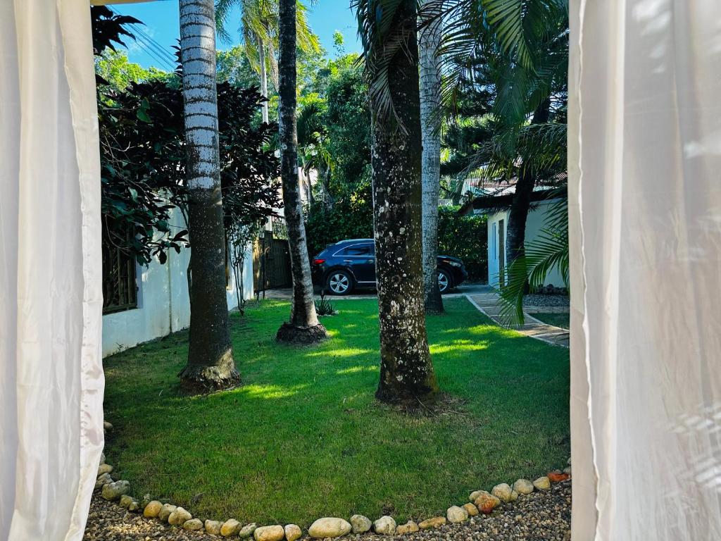 Dominican Oasis photo 2