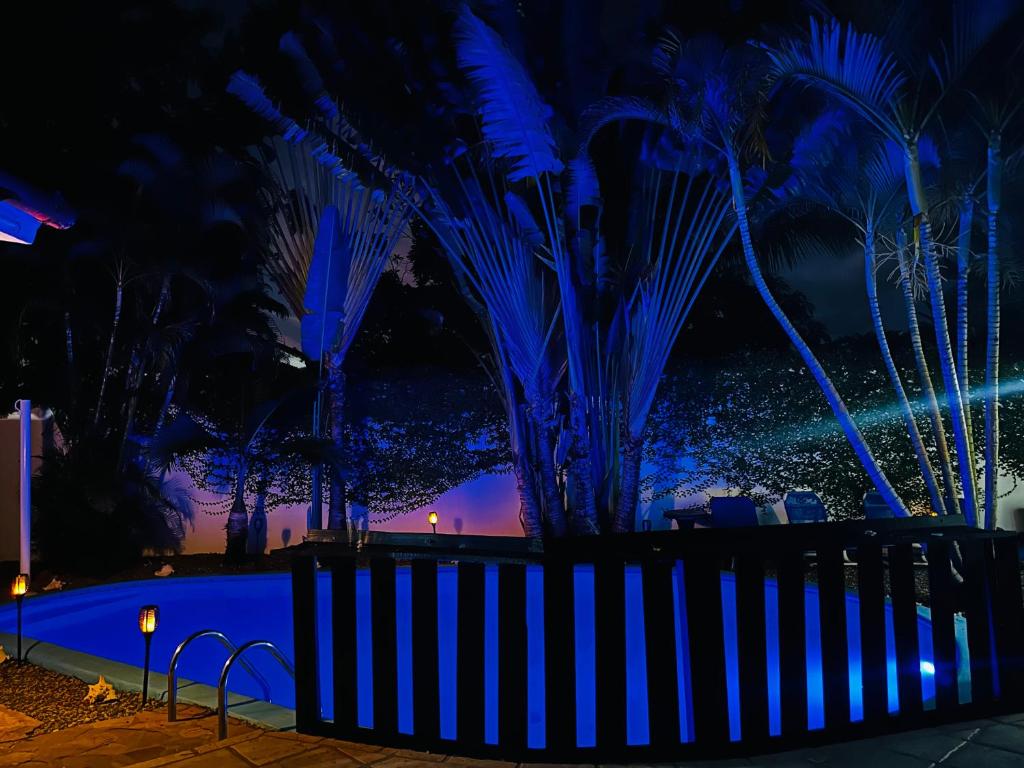 Dominican Oasis