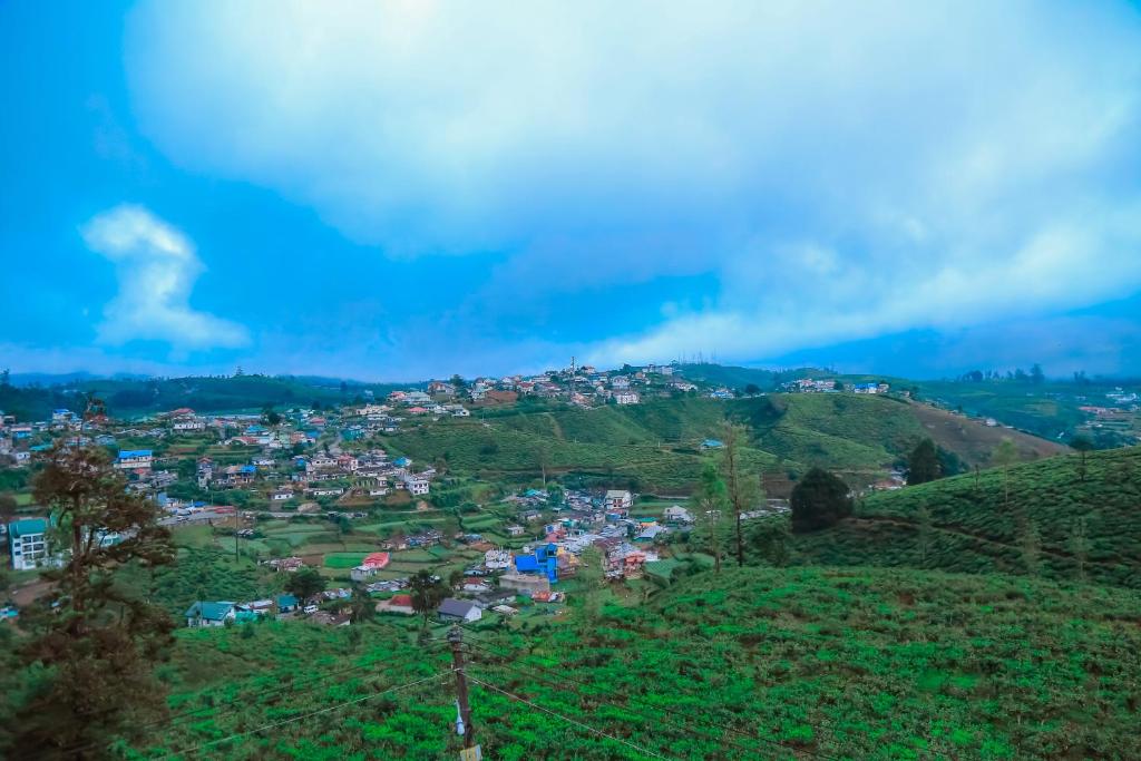 The Mount View Single Tree Hotel photo 4