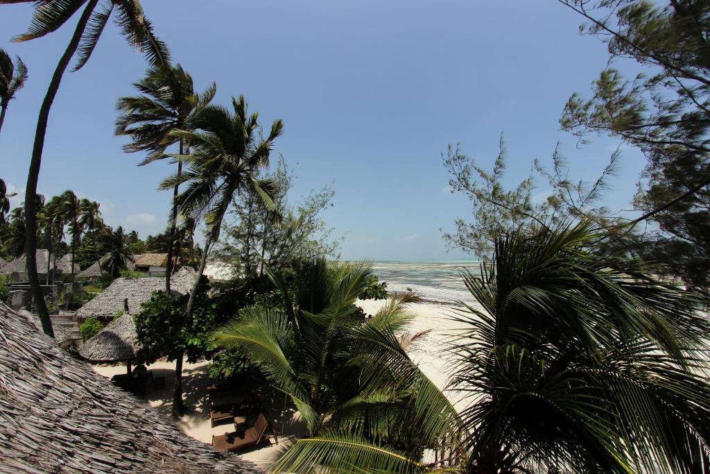 Kipepeo Lodge Zanzibar photo 3