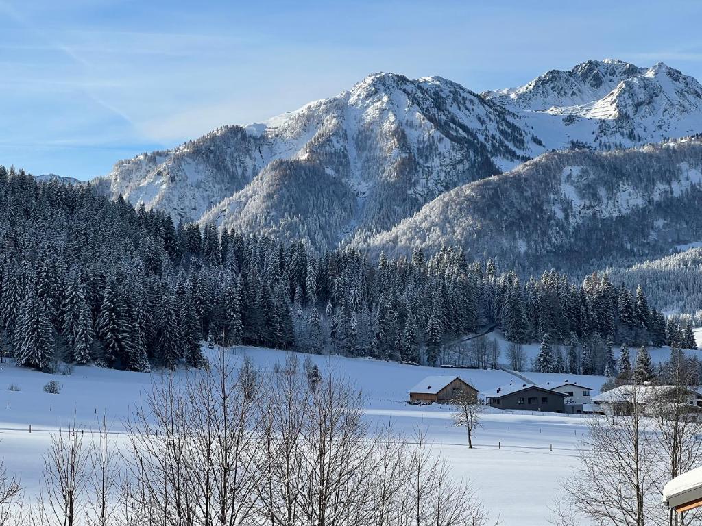 Chalet Panoramablick photo 1