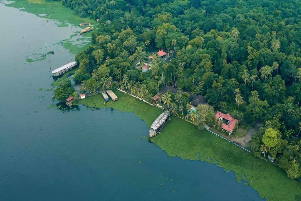 BluSalzz Escapade - Muhamma, Alleppey - Kerala photo 3