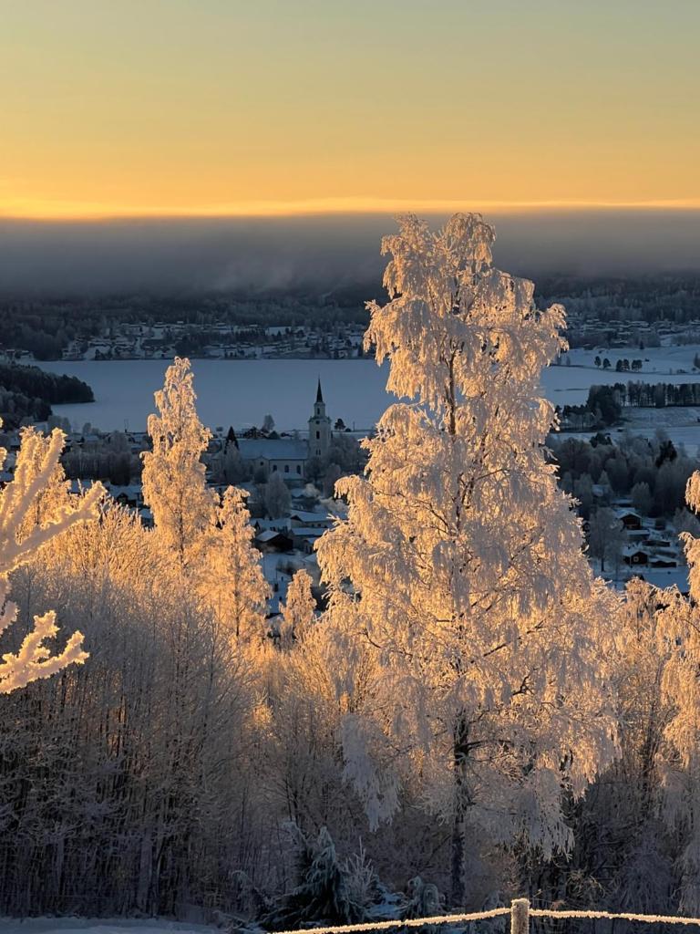 Siljansnäs Stugby & Resort photo 1