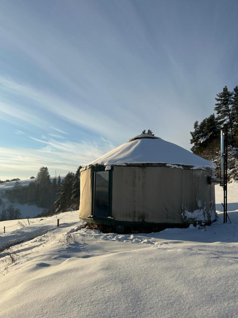 Dzikość Serca - Jurta z widokiem na Tatry photo 1